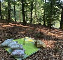 Freizeitgrundstück - Wald, See, Hanglage - Eging am See