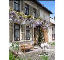 Stilvoll erhaltenes Bauernhaus in Beaumarais - Saarlouis
