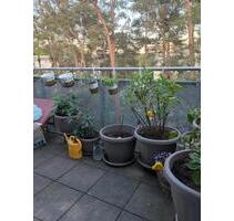 2-Zi-Wg, 42 qm, Balkon, 4. Stock, Potsdam Waldstadt