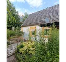 Einfamilienhaus in Obermohr mit großem Garten - Steinwenden