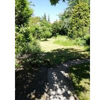 Große Wohnung, 6 ZKB - 970,00 EUR Kaltmiete, in Pirmasens (PLZ: 66955) Niedersimten
