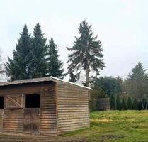 2 Boxen Pferdestall ca 6000 qm Weideland - Rositz