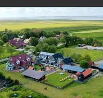 Möbilierte Wohnung direkt an der Nordsee 500.- Kaltmiete - Hage