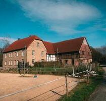 Reiterhof, Resthof, Mehrfamilienhaus mit ReitplatzReithalle - Lemgo