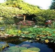 Mini Ferienhaus vollmöbliert ab 1.11.25 zu vermieten - Leer (Ostfriesland)