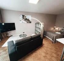 Frisch renovierte möblierte 1Zi. Wohnung, Einbauküche, Vollausstattung - Heusenstamm