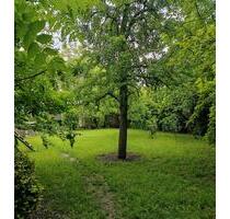 EFH in Heimertingen - in top Lage - mit herrlichem Garten