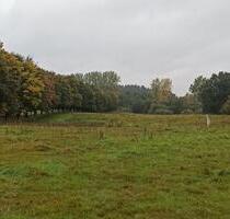 Koppel zu verpachten in Eckernförde - Waabs