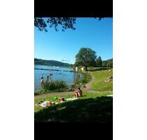 Sauerland Winterberg Ferienwohnung❣️2 bis 16 Pers