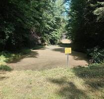 Freizeitgrundstück mit Weiher Wochenenderundstück - Sankt Wendel