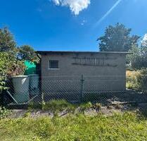 Garten zur Pacht - 3.500,00 EUR Kaltmiete, ca.  0,00 m² in Dresden (PLZ: 01237) Blasewitz