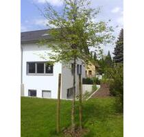 Ideal für Praxis oder Kanzlei: Repräsentatives Gewerbehaus (232 m²) in Berlin-Mahlsdorf