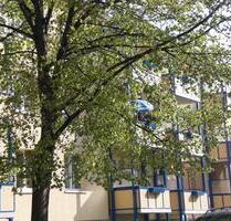 Schöne ruhig gelegene 3-Raumwohnung in Rötha
