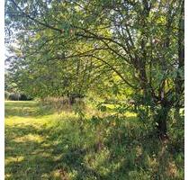 IDYLLISCHES BAUMGRUNDSTÜCK - 3.800,00 EUR Kaltmiete, ca.  0,00 m² in Schorndorf (PLZ: 73614)