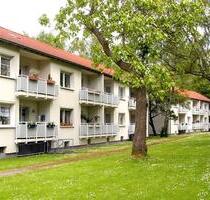 Im Grünen wohnen - perfekte Singlewohnung in Duisburg-Ungelsheim