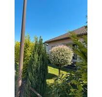 Einfamilienhaus - 500.000,00 EUR Kaufpreis, in Rheinau (PLZ: 77866)