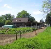 EINMALIGER - BAUERNHOF 41.122 m² Weide am Haus - IDEAL FÜR PFERDE - Windeck
