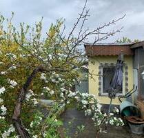Garten in Schwedt - 100,00 EUR Kaltmiete, ca.  0,00 m² in Schwedt (Oder) (PLZ: 16303)