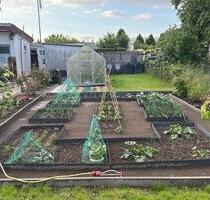 Garten in Rostock Evershagen - 3.500,00 EUR Kaltmiete, ca.  0,00 m² in Rostock (PLZ: 18106) Evershagen