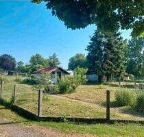 schöner Garten in Villingen (Hungen) zu verpachten