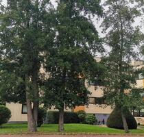 Sonnige 1-Zimmerwohnung im Mittelweg - Nordenham