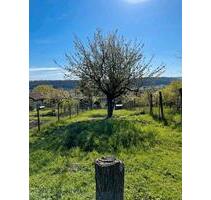 Freizeitgrundstück zu verpachten - Lichtenwald