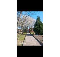 Schrebergarten in Uelzen - 1.800,00 EUR Kaltmiete, ca.  0,00 m² in Uelzen (PLZ: 29525)