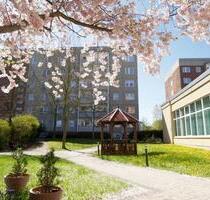 1 Raum Wohnung für Senioren - 181,00 EUR Kaltmiete, ca.  34,20 m² in Plauen (PLZ: 08529) Alt Chrieschwitz