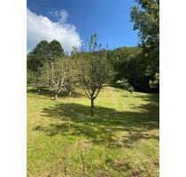 Erster Monat kostenlos! Streuobstwiese Freizeitgrundstück nahe Stuttgart zu verpachten - Weilheim an der Teck