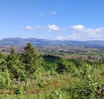 Haus zur Miete Mietwohnung - 1.050,00 EUR Kaltmiete, ca.  156,00 m² in Braunlage (PLZ: 38700)