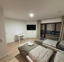 Möblierte 1-Zimmer-Wohnung (29m2) in Kehl nähe Straßburg - Hohberg