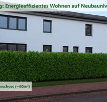 ~60 m² | 2-Zimmer-Erdgeschosswohnung mit Terrasse – Erstbezug - Preußisch Oldendorf