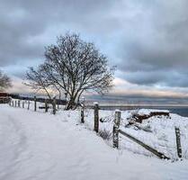 Ferienwohnungen, Bungalow,Ostsee,mit Kind und Hund - Sellin