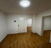 2 Zimmer neu sanierte Wohnung zum vermieten in Rauenberg 69231