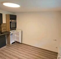 Moderne 1-Zimmer-Wohnung in Nürnberg Mögeldorf zu vermieten