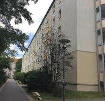 Striesen: 2-Zimmerwohnung im Erdgeschoß - Dresden Blasewitz