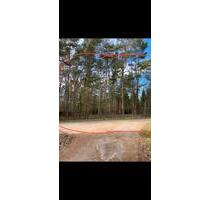 Erbpachtgrundstück in der Nordheide weiterzugeben - Hamburg Stellingen