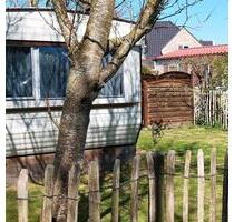 Mobilheim im *****Park de Krim auf Texel - Gangelt