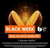 Große Familienwohnung Balkon Modern - Chemnitz Adelsberg