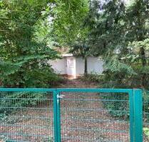 Einzigartiges Waldgrundstück mit Wochenendhaus und Teichzugang - Neustadt am Rübenberge