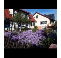 Haus zur Miete mit Garten - 1.600,00 EUR Kaltmiete, in Steinweiler (PLZ: 76872)