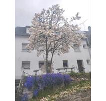 WG , 3 Zimmer Wohnung im Haus - 600,00 EUR Kaltmiete, in Backnang (PLZ: 71522)
