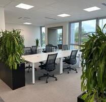 Flex Desk im Coworking Space (Coworkingarbeitsplatz - All-in-Miete - Frechen