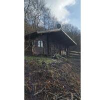 Nähe Osburg ( Hunsrück ) Holzblockhaus im Wald