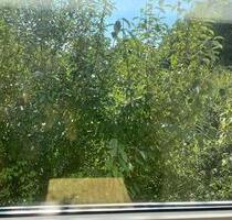 Zwischenmiete ab 01.07 - 440,00 EUR Kaltmiete, ca.  30,00 m² in Bochum (PLZ: 44797) Bochum-Südwest