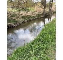 Gartengrundstück für Hobby, Imker 500 m² zu verpachten Nieder-Olm