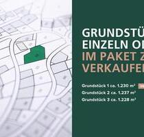 Dammereez: Baugrundstücke einzeln oder im Paket erwerben - Amt Neuhaus