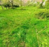Wiesengrundstücke zu verpachten - Albersweiler