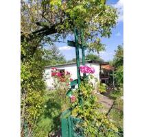 Top Garten in der Frohen Zukunft - Halle (Saale) Frohe Zukunft