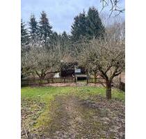 Gartengrundstück zu verpachten - 100,00 EUR Kaltmiete, ca.  0,00 m² in Uslar (PLZ: 37170)